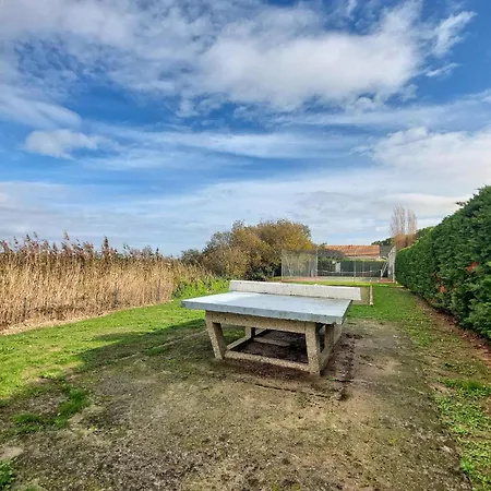 Pet Friendly In With Wifi